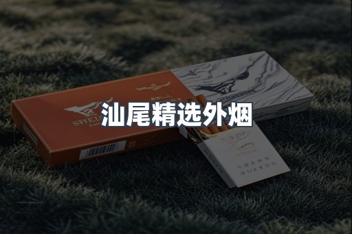 汕尾精选外烟